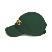 Load image into Gallery viewer, EMS Medical Star of Life Classic Dad Cap