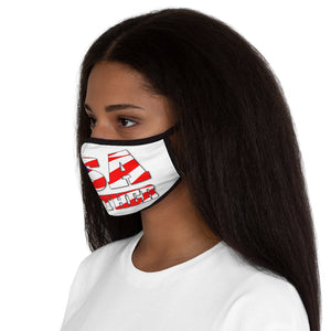 USA TOGETHER Fitted Polyester Face Mask